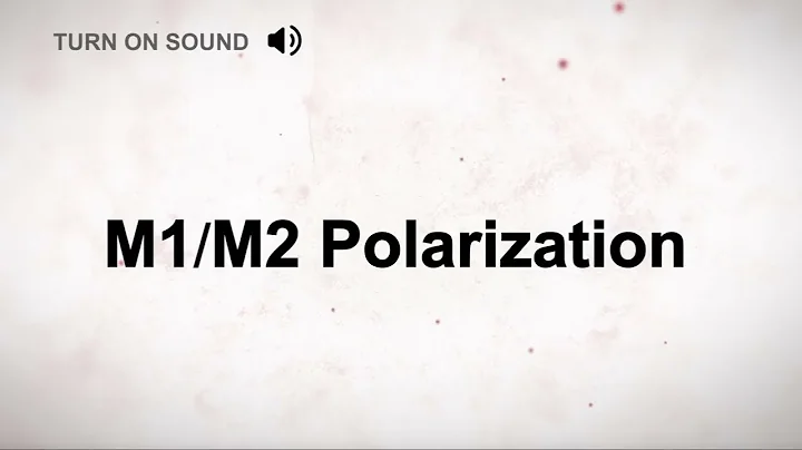 M1/M2 Polarization