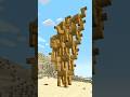 PUOI FARE una PIRAMIDE di CAMMELLI su MINECRAFT?
