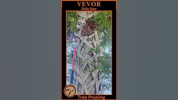 Vevor Manual Pole Saw Pruning High Branches & Vines | Pros & Cons Review #shorts #vevor #toolreview
