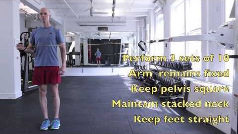 Reactive Isometric - Shoulder External Rotation | Chris Johnson PT