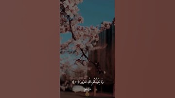 Surah Fatir سورة فاطر
