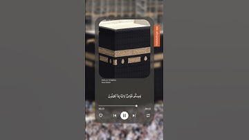 سورة التغابن / #القرآن_الكريم #اكسبلور #ياسر_الدوسري #المصحف / #gaza الشيخ ياسر الدوسري #دويتو