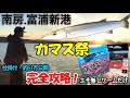 良型カマスを堤防からただ巻きワームで連発で簡単攻略!進化するカマッシングの世界~釣れる仕掛けと釣り方~【富浦新港/房総半島】