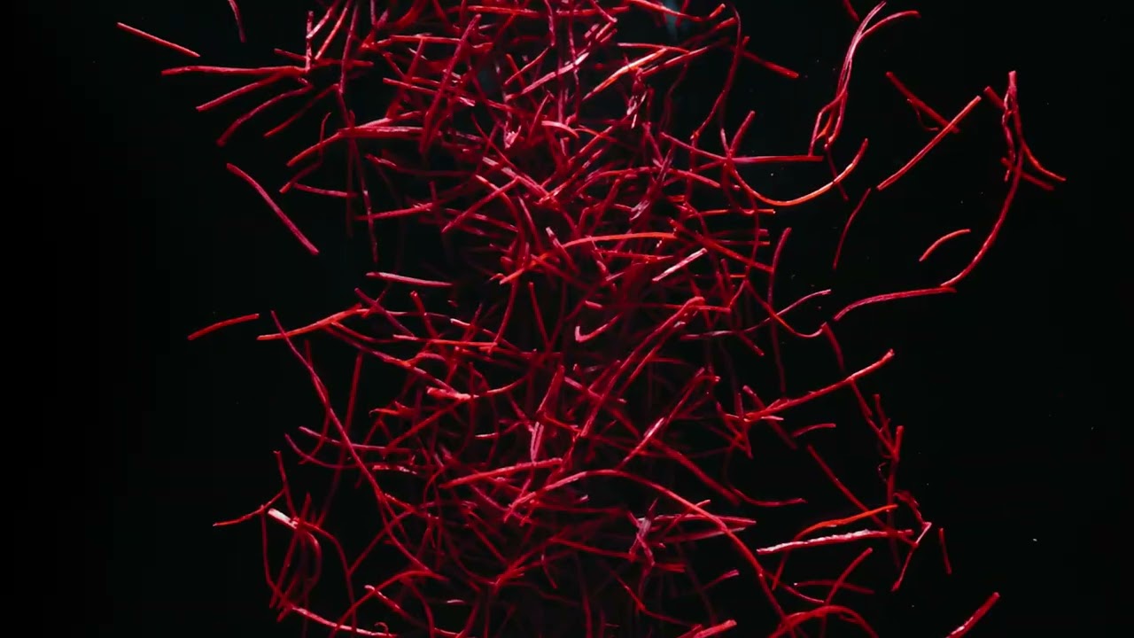 video Spicebomb Extreme by Viktor & Rolf Men EDP, 90ml