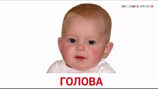 Картинки для детей. Изучаем части тела. Картинки для детей. Изучаем части тела.