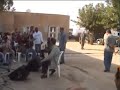 El Hedi Donya مزود الشاوية سطنبالي El Hedi Donya مزود الشاوية سطنبالي