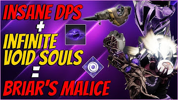 The BEST Void Warlock Build Using Briarbinds Outputs INSANE DPS