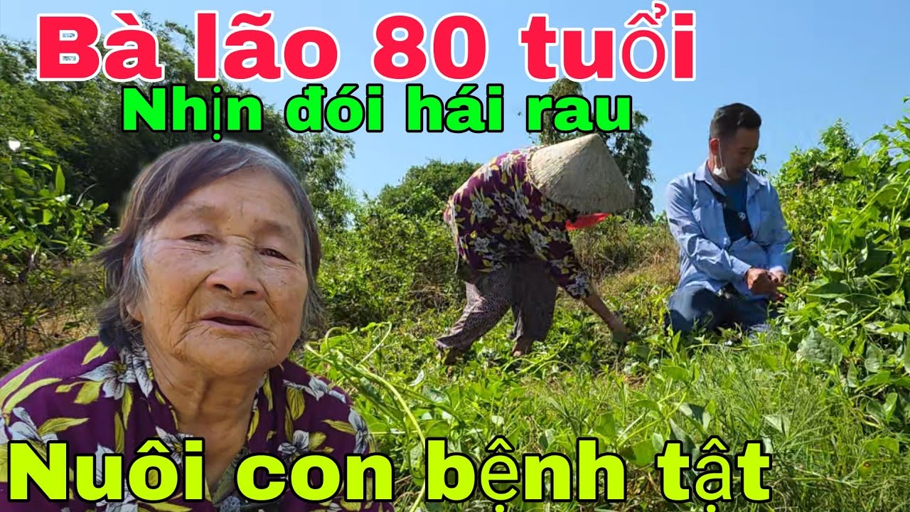 Bà lão 80 tuổi nhịn đói hái rau nuôi con bệnh tật sống trong căn nhà rách nát.  Nghĩa Phước Vlog 
