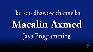 Celebrity Java Lesson 5 - input from user using scanner class Net Worth