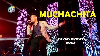 Miniatura de vídeo de "MUCHACHIITA - CONCIERTO DEYVIS OROSCO Y GRUPO NECTAR FESTIVAL JHONY OROSCO 2015 HD"