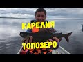 Рыбалка 2019, Северная Карелия Топозеро Хариус