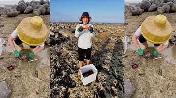 De bron van de krabben gevonden in een rotsgat #krab #vissen #vangen #jagen