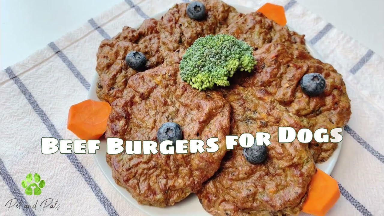 DIY Healthy Dog Food Recipe Beef Burger for Dogs Make Healthy Food