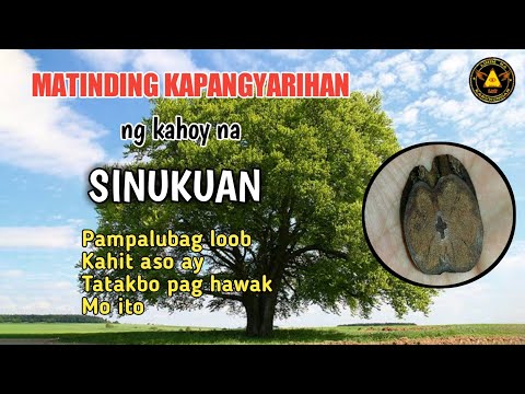 Video: Mga Kahoy Na Pergola (93 Mga Larawan): Para Sa Pag-akyat Ng Mga Halaman, Gumawa Kami Mula Sa Kahoy Gamit Ang Aming Sariling Mga Kamay Sunud-sunod Ayon Sa Mga Guhit Na May Sukat. Mg