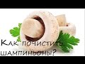 Как чистить шампиньоны