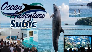 Ocean Adventure in Subic: Exploring the Marvels of Marine Life and Thrilling Encounters!