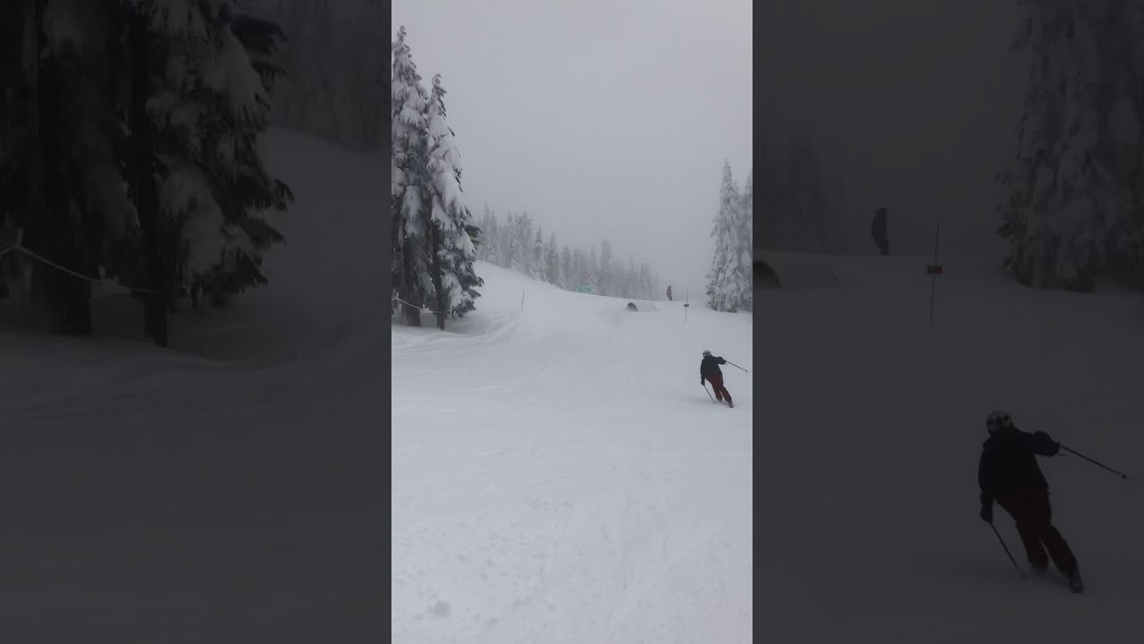 MYMW ViewTour - Lisanne on Frog Legs