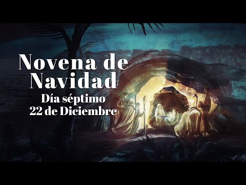 Día 7 de
