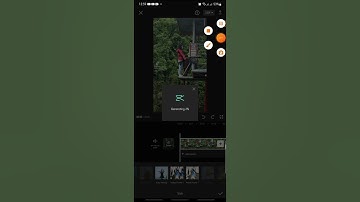 Freeze Frame Clone Effect On CapCut Apps