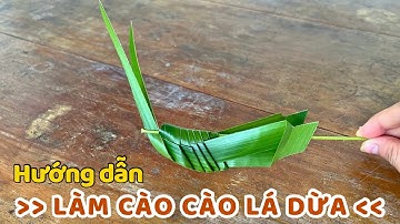 Hướng dẫn làm con cào cào bằng lá dừa cách đơn giản | Coconut Leaf Craft