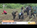 [三农长短说]三夏时节农事忙 吉林通化 菇粮套种 实现一地双收|农业致富经 Agriculture And Farming