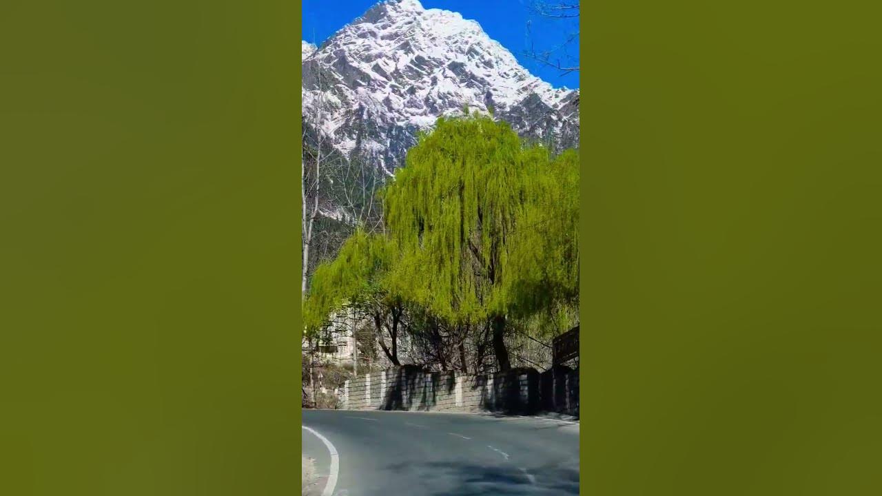 #snowlover #snowfall #song #manali