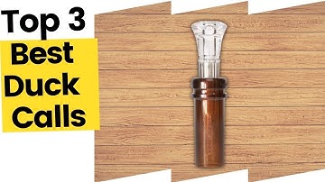Best Duck Calls On The Market in 2023