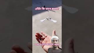 #new #animals #funny #2026 #today #samsuvaya #viral #comedy #foryou #fortnite #fegdeutschland #usa