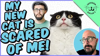 Help! My New Cat / Kitten is Scared of Me!!