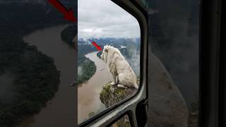 Deep Sea Monsters 😱 | क्या Kraken सच में मौजूद है?