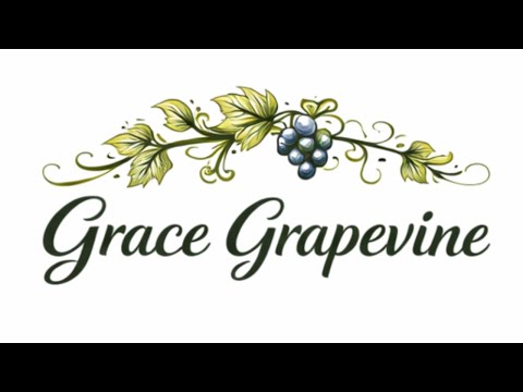 Grace Grapevine Events: VBS - Yard Sale - Preschool