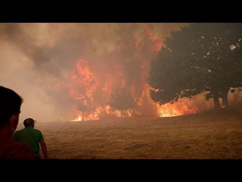 Record amount of wildfire destruction marks dark year for Europe