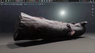 3d scanned log in Sansar.