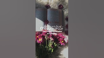 الراحه النفسيه 💗إسلام الصبحي تلاوة مؤثرة حالات واتس اب دينية