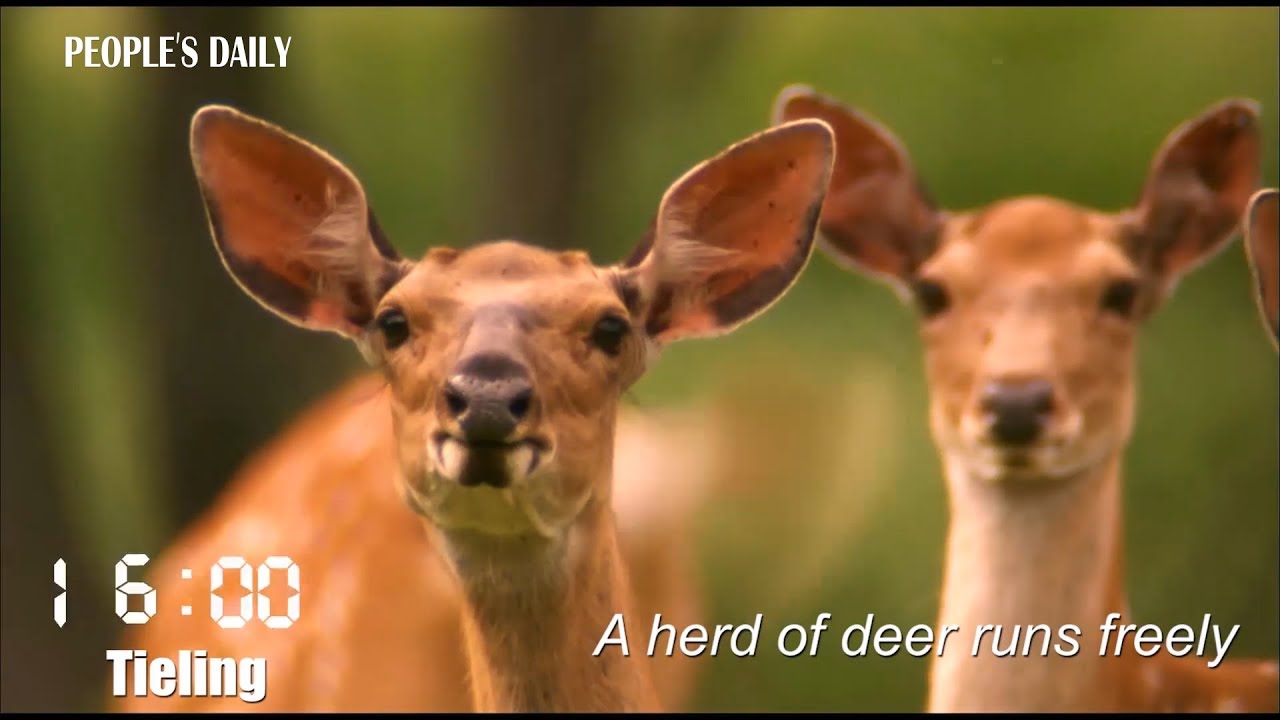 Liaoning Province in 24 hours