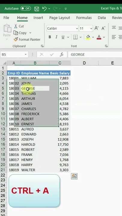Add or Remove Filter in Excel - Excel Tricks & Tips - YouTube