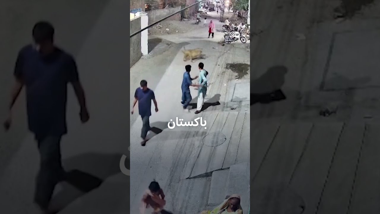 الأسود تخرج عن السيطرة في ثلاث دول مختلفة