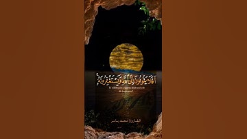 تلاوه رائعه| القارئ #محمد_ياسر #القرآن_الكريم #صلوا_على_النبي #السعودية #اليمن