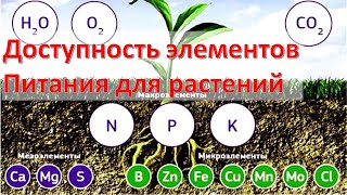 Доступность элементов питания для растений