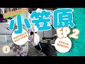 【東京,日本】24時間かけて小笠原諸島へ到着！コペペ海岸&コペペ砲台や境浦海岸でブランコし人生初ヘナタトゥーして日本最後の秘境硫黄島3島クルーズへ。
