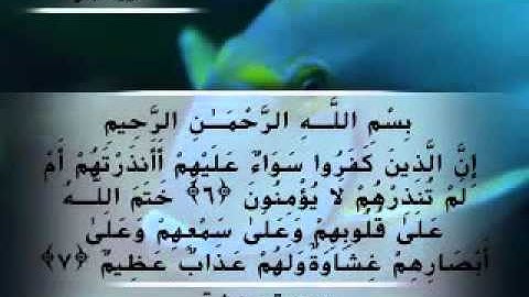 Moustafa Haredy  El Baqarah Ayah 6-10 | مصطفى هريدى - سورة البقرة - من أية 6 -10
