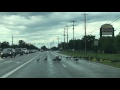 Canadian geese crossing road