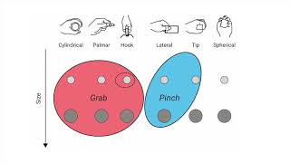 Grasping Microgestures: Eliciting Single-hand Microgestures for Handheld Objects screenshot 1