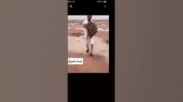بيدور عليا ترند السعودية Shorts 