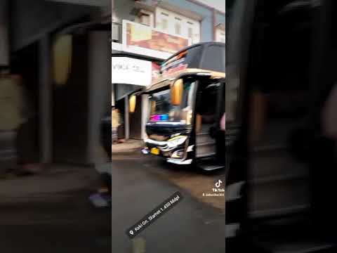 Pariwisata Pemalang dan Peran Vital Bus Pariwisata: Sebuah Tinjauan Komprehensif