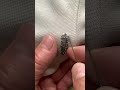 Learn needlework tips step by step #LifeHacks
