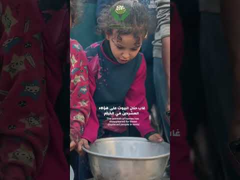 واه الف أه على اطفالك الحزينين ياغزة اكسبلور Gaza ترند غزة لايك Palestine تيك توك