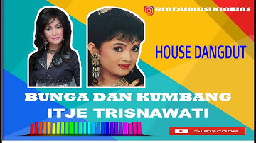 ITJE TRISNAWATI - BUNGA DAN KUMBANG - HOUSE DANGDUT