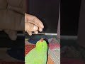 #facts #birds #fishing #fish #agriculture #1000subscriber #freefire #ajjubhaiinmymatch #totalgaming