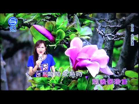 雅鈞 葡萄成熟時(陳蘭麗)109/09/25